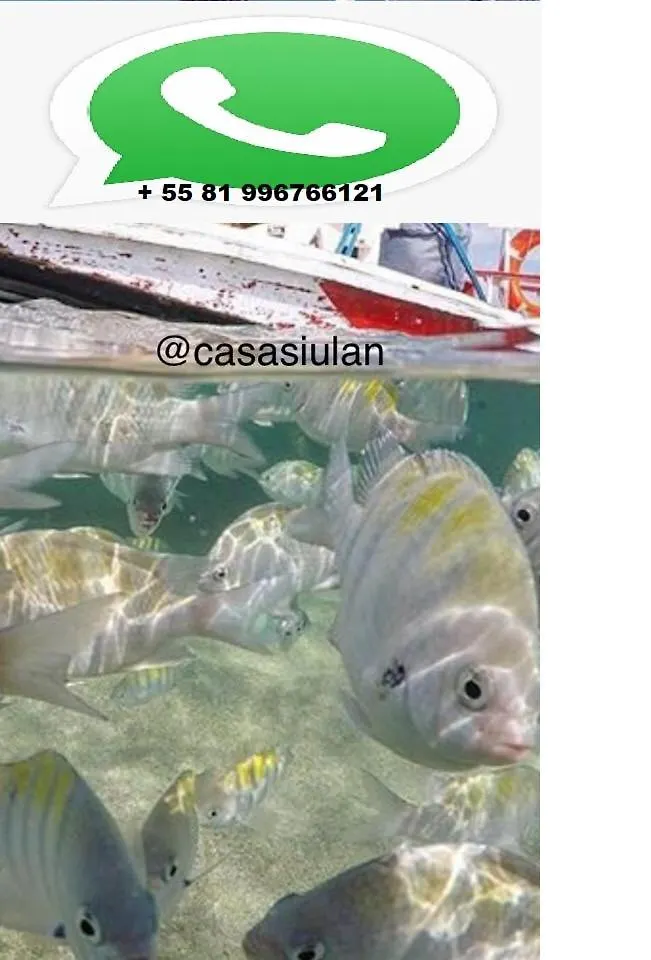 Pôrto das Galinhas Casa Siulan 아파트